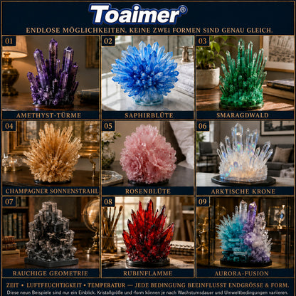 💥 Heute 50 % sparen | 💎Toaimer® CrystalGenesis — Züchte deinen eigenen Kristall und verwandle ihn in edlen Schmuck 💎